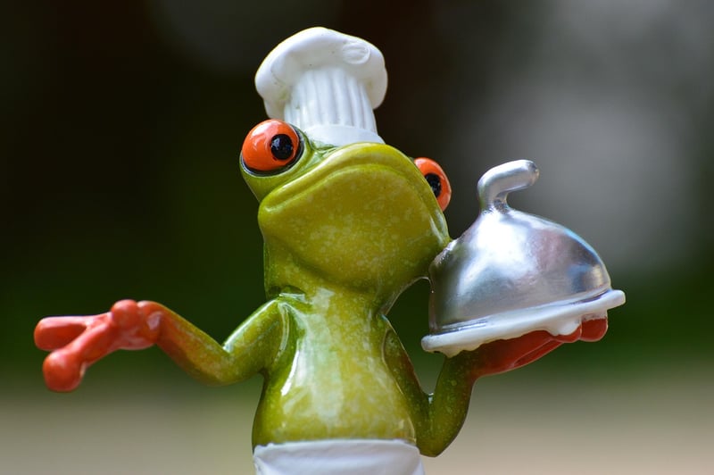 Gourmet destinations